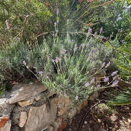 Villa Oleana Μακάρσκα Εξωτερικό φωτογραφία