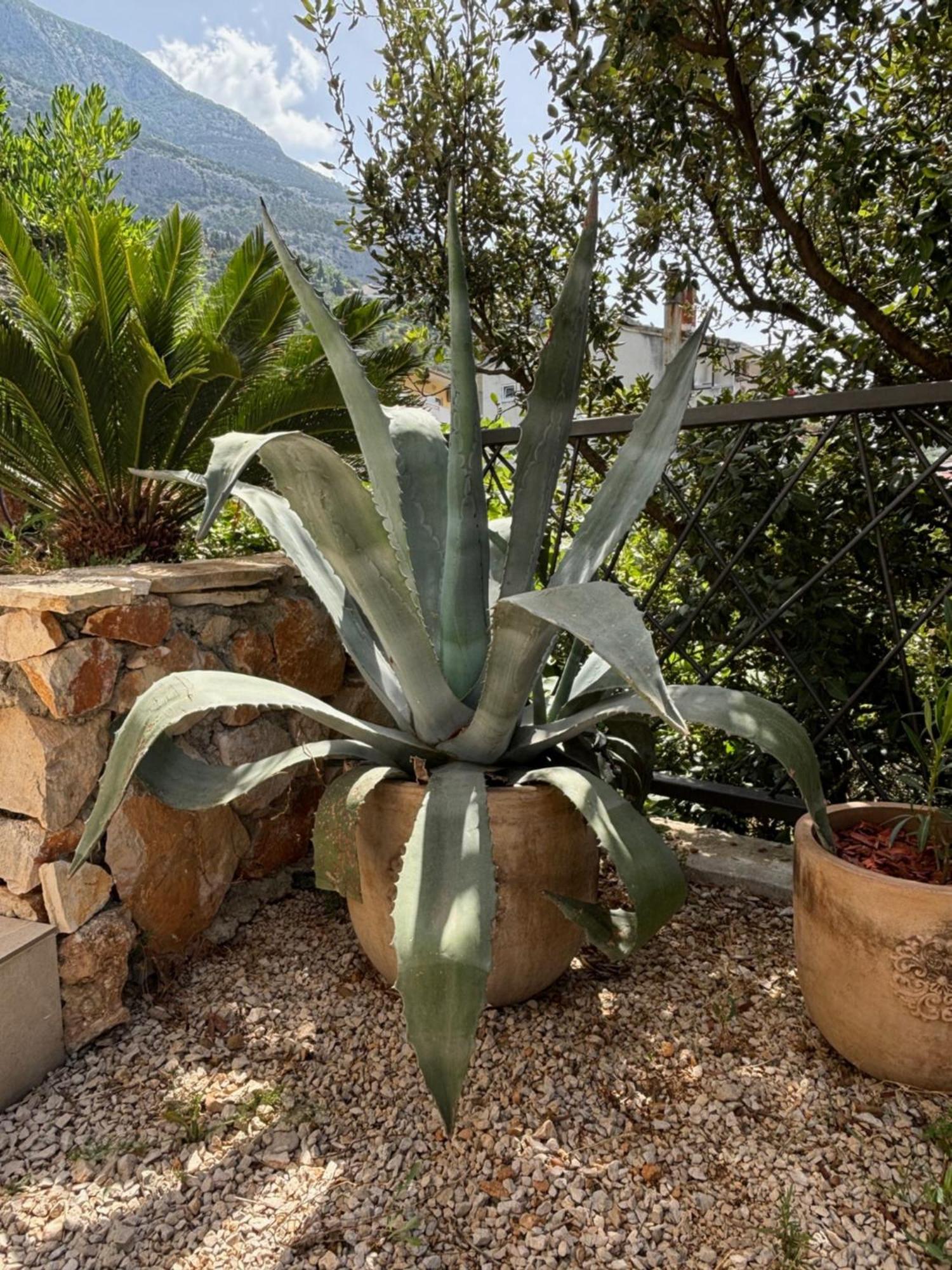 Villa Oleana Μακάρσκα Εξωτερικό φωτογραφία